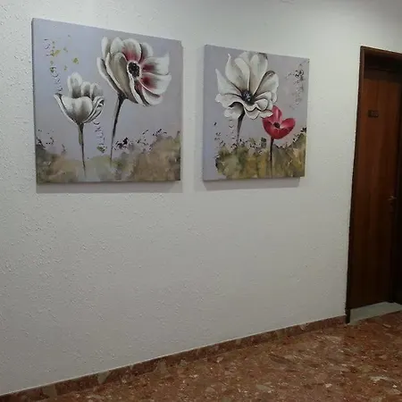 Hostal Menurka Hostel